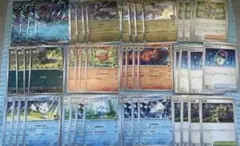 Nのゾロアーク　デッキパーツ　ポケモンカードMEGAドリーム