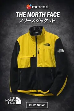 THE NORTH FACE デナリジャケット