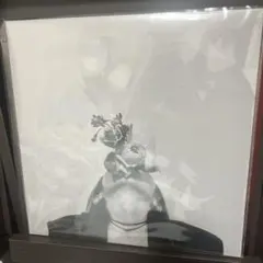 新品sublimated (LP) Archeレコード