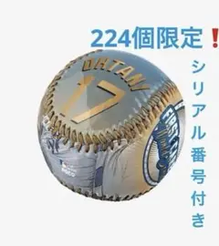 希少！【大谷翔平】ファーストキャリアワールドシリーズ記念ボール 224個限定