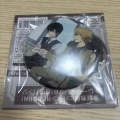 家庭教師ヒットマンREBORN！ トレーディングBIG缶バッジ