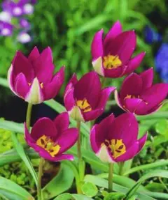 ハイジ様 リクエスト 2点 まとめ商品