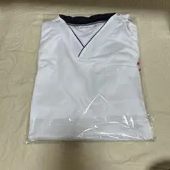 Item thumbnail for item 1016d1c9-baa2-4e0b-b3ff-27ee82b7d02f