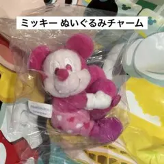 ミッキー ぬいぐるみチャーム ミニー パルパルーザ ファンダーランド ミニパル