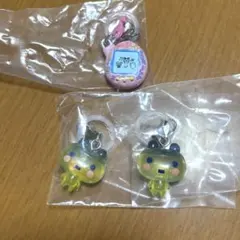 たまごっち めじるしアクセサリー 3 やんぐまめっち ふぁみたま