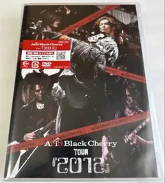 Acid Black Cherry アシッドブラックチェリー Erectポスター - メルカリ