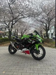 Kawasaki Ninja ZX-6R 2019KRT - メルカリ
