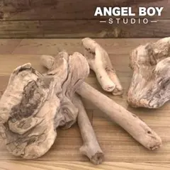 Item thumbnail for item 4b3cdc19-4b34-459e-b3f0-68a0fdaf94e2