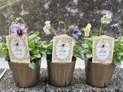 ぴよ様 リクエスト 2点 まとめ商品