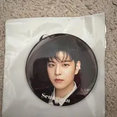 Stray Kids スンミン 缶バッジ