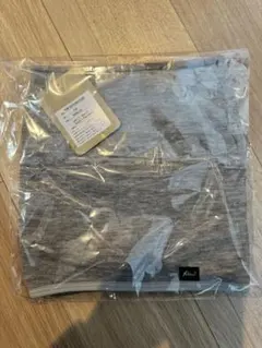 Item thumbnail for item 8e4748a7-a603-4a28-a8e6-380178b62171