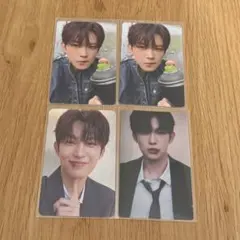 ALD1 ゴヌ トレカ ステッカー