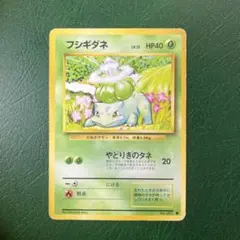 フシギダネ 旧裏面 HP40 ポケモンカード - メルカリ