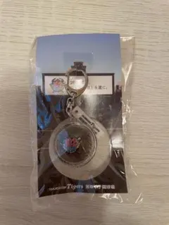 【非売品】阪神甲子園球場 102回大会記念 土入りキーホルダーのサムネイル