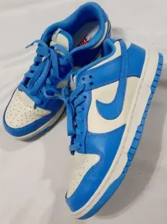 2026年最新】nike dunk low retro university blueの人気アイテム