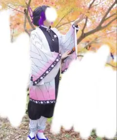 【期間限定価格】胡蝶しのぶ コスプレ フルセット