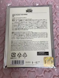 seventeen セブチ holiday ペンミ ミニピケット ドギョム未開封