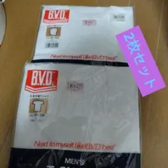 Item thumbnail for item 7985b1f4-e19f-4294-b57f-e5c3f803b827