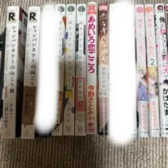 BLまとめ売り　バラ売り可