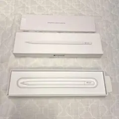 Apple Pencil USB-C アップル純正品