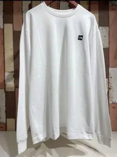THE NORTH FACE L/S スモールボックスロゴティー　NT32441