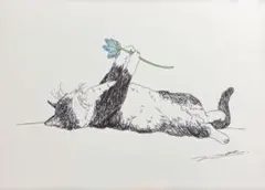 고양이 사진 원본 사진 B5