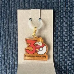 ポケチャーム ポケモン 30周年ロゴマスコット2 ホゲータ