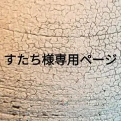 すたち様専用ページ