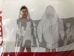 Item thumbnail for item 518cbbac-203b-4a63-b8a5-8b65e401e213