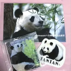 ち*い様 【貴重】王子動物園 パンダタンタン クリアファイル、ポストカード、定規 王子動物園 タンタン クリアファイル 3枚 - メルカリ