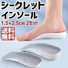 シークレットインソール 中敷き シューズ 靴 身長アップ 2サイズ セット
