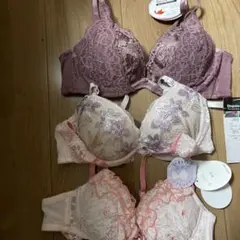 ブラジャーセット レース 花柄刺繍B70