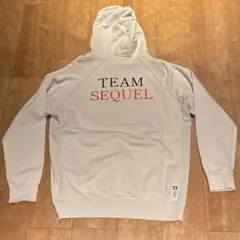 Item thumbnail for item 41342d31-30ed-409c-ad36-38d88d0227d8