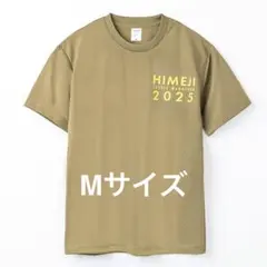 Item thumbnail for item b188b35d-2643-4243-8a81-3e5b8065e9e5