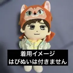 ディズニーストア ぬいぐるみコスチューム 不思議の国のアリス ダイナ　はぴぬい