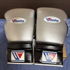 Winning ボクシンググローブ 14oz 別注品 スカイブルー ゴールド