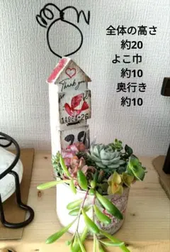 多肉植物寄せ植え　リメ缶入り　このまま飾れる　吊り下げワイヤー付き　おウチ型