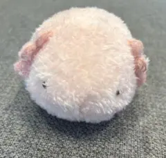 YURU SWIMMY ウーパールーパー