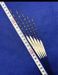 Item thumbnail for item 48cc4a3f-a832-40f4-8041-6bb003038900