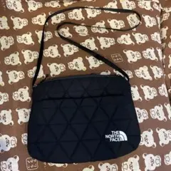 Item thumbnail for item bfbfdcaf-5367-4a05-ad1a-fe5bfd04145d