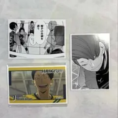 ハイキュー10thクロニクル 戸美学園 大将優 フォトカード