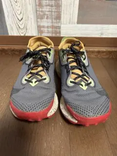 値下げ！NIKE ペガサストレイル2 GTX トレランシューズ27.5