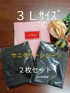 シャルレポケット付きサニタリーショーツ３Ｌサイズ2枚セット激安！廃盤になりましたのサムネイル