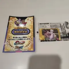 ポケモンフレンダ トレーナーバトル 勝利認定証ゴールデンミュウツー