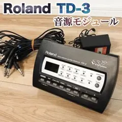 2026年最新】roland td-3の人気アイテム - メルカリ