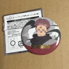 呪術廻戦 じゅじゅフェス2026 箔押し缶バッジ 両面宿儺 - メルカリ