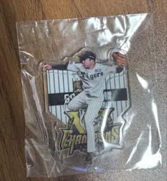 阪神タイガース 2025 JERA セ・リーグ優勝記念くじ 石井大智