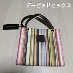 デービッドヒックス ミニバッグ マルチカラー ストライプ