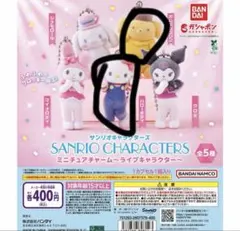 サンリオキャラクターズ　ミニチュアチャーム