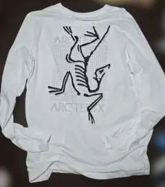ARC'TERYX Arc' Multi Bird Logo L usedのサムネイル